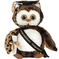 Bearington Wisdom Class of 2024 Graduation Plush Owl Stuffed Animal, Black Cap with Diploma & Sa