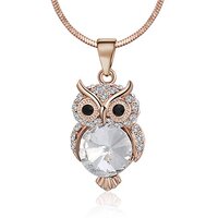 Ouran Long Necklace for Women,Owl Pendant Necklace for Girls Rose Gold and Silver Necklace with CZ C