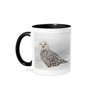 3dRose Snowy Owl on snow, Montana 11oz Two-Tone Black Mug