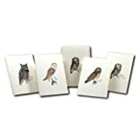 Earth Sky + Water - Sibley Owl Assortment Notecard Set - 8 Blank Cards with Envelopes (2 Each of 4 S