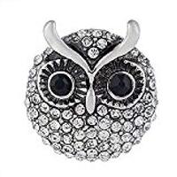 Interchangeable Snap Jewelry Clear Rhinestone Owl 18mm Snap Black Eyes My Prime Gifts