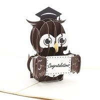 Liif Graduation Owl 2024 3D Pop Up Graduation Card, Class of 2024