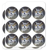 Great Horned Owl Painting 2" Planner Calendar Scrapbooking Crafting Clear Stickers