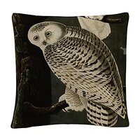 Trademark Fine Art BL01299-PIL1616 John James Audubon 'Snowy Owl' 16" X 16" Deco