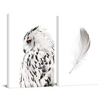 sechars White Wall Art Canvas Grey Owl Pictures Feather Paintings Modern Bedromm Living Room Decor16