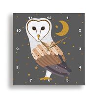 3dRose Wall Clock Silent - 10 inch - Barn Owl Nocturnal Animals - Designs Wild Animals