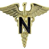 Artisan Owl RN LPN Registered Nurse 1" Lapel, Hat or Uniform Pin (1" Nurse Pin)