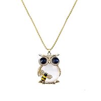 HSQYJ Women's Lucky Owl of Night Pendant Necklace and The Night Guardians Long Sweater Chain Ow