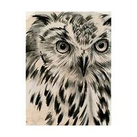 Trademark Fine Art, 18x24 Charcoal Owl I by Jennifer Paxton Parker
