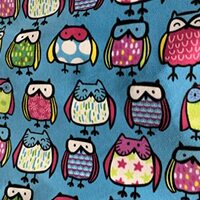 Different Owls On Blue Color- Anti Pill Animal Theme Fleece Fabric