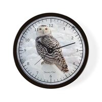 CafePress Snowy Owl 10" Wall Clock for Livingroom, Kitchen, or Office