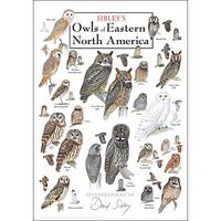Earth Sky + Water - Sibley’s Owls of Eastern North America - Poster