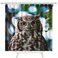 Mugod Owl Shower Curtain Powerful Owl Beak Eye Feathers Australian Wildlife Grey Shower Curtains Pol