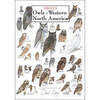 Earth Sky + Water - Sibley’s Owls of Western North America - Poster
