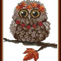 Maydear Full Range of Embroidery Starter Kits Stamped Cross Stitch Kits Beginners for DIY Embroidery
