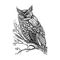 Crafty Individuals unmounted rubber stamp - Owl and Berries - CI-511
