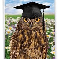 NobleWorks - Jumbo Funny Card for Graduation (8.5 x 11 Inch) - Big Humor Greeting Notecard for Stude