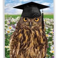 NobleWorks - Jumbo Funny Card for Graduation (8.5 x 11 Inch) - Big Humor Greeting Notecard for Stude