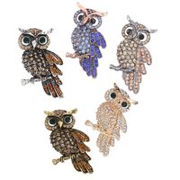 Set of 5 Pieces Cute Animal Theme Multicolor Crystal Owl Pin Brooches Rhinestones Decoration for Dai