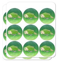 Kakapo The Flightless Owl Parrot 1" Planner Calendar Scrapbooking Crafting Clear Stickers