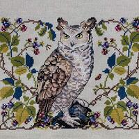 Merejka Counted Cross Stitch kit The Owl Aida 20x16cm