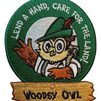 Woodsy Owl Lend A Hand, Care for the Land Embroidered Iron On Patch - 2005