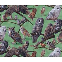 Elizabeth's Studio North American Owls Green Allover Owls