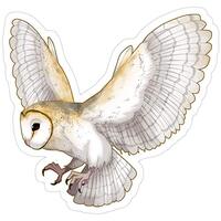 rangerpolocon Stickers Barn Owl Laptop Decals (3 Pcs/Pack) 3x4 Inch