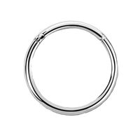 Pierced Owl 18G Sterling Silver Hinged Segment Clicker Ring (Diameter: 10mm (3/8"))