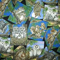 Quality Fabric Fat Quarter (18" x 22") Owls Family Members Love Wild Birds Material: 100% 