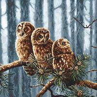 LUCAS Letistitch Counted Cross Stitch Kit Owls Family, 33x33.5cm, DIY