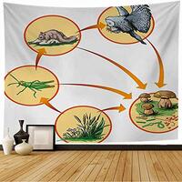 Staropho Tapestry Food Grasshopper Chain Forest in Owl Vertebrae Animals Population Birds Wildlife E