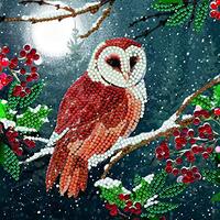 Crystal Art Diamond Painting Card Kit - Barn Owl- Create Your Own 7"x7" Card Kit - for Age