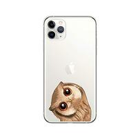 iPhone 12 Pro Case (6.1 inch),Blingy's Cute Owl Bird Fun Cartoon Animal Style Transparent Clear
