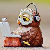 Home Comforts Owl Computer Headphones Laptop Funny Notebook-20 Inch By 30 Inch Laminated Poster With