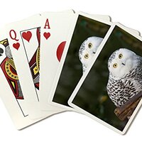 Lantern Press Snowy Owl (52 Playing Cards, Poker Size)