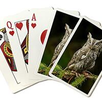Lantern Press Screech Owl (52 Playing Cards, Poker Size)