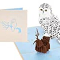 Rykamia Snowy Owl Pop Up Card, Blank Owl Card With Envelop, Bird Card Pop Up, Owl Gifts For Her, Car