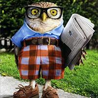 Avanti Press Owl Wearing Glasses, Orange Shorts and Brown Shoes Humorous : Funny Father's Day C