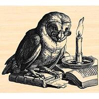 P126 Reading owl by Candle Rubber Stamp