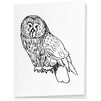 4 x 'Great Grey Owl' Gift Tags/Labels (GI00029246)
