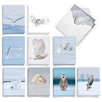 The Best Card Company - 20 Blank Note Cards with Envelopes (4 x 5.12 Inch) - All Occasion Animal Car