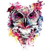 ESH7 1Pcs Colorful Owl Sticker Patch DIY T-Shirt Hoodies and Denim Jacket Thermal Transfer Patches f