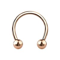 Pierced Owl 16GA PVD Plated G23 Implant Grade Titanium Internally Threaded Ball Ends Cartilage Helix