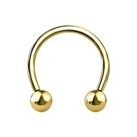 Pierced Owl 16GA PVD Plated G23 Implant Grade Titanium Internally Threaded Ball Ends Cartilage Helix