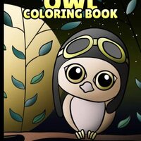 Owl Coloring Book: Cute Owl Quotes Coloring Book With 49 Unique Illustrations. Fun Coloring Gift Boo
