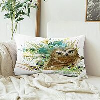 Velvet Decorative Rectangle Throw Lumbar Pillow Cover Isolated Colorful Owl Forest Animals Watercolo