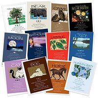 Your True Nature 12 Greeting Card Birthday Set - Advice from a Bear, Cat, Dog, Horse, Hummingbird, L