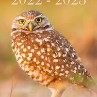 2022 – 2023: Large monthly calendar planner, burrowing owl
