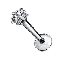 Pierced Owl 16GA G23 Implant Grade Titanium Prong Set Star Shaped CZ Crystal Internally Threaded Lip